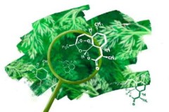 青蒿素是从什么植物中提取出来的,青蒿素的神奇之处:探索植物的起源。
