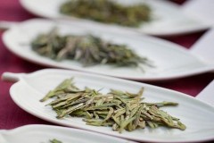 凤凰单枞茶是属于什么茶,什么是凤凰单枞茶？