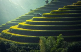 冬季小麦应该在什么时期施肥最佳？