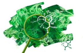 青蒿素是从什么植物中提取出来的,青蒿素的神奇之处:探索植物的起源。